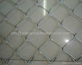 Chain Link Fence Made of Low Carbon Wire 3