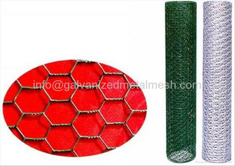 Galvanized Hexagonal wire mesh for poultry