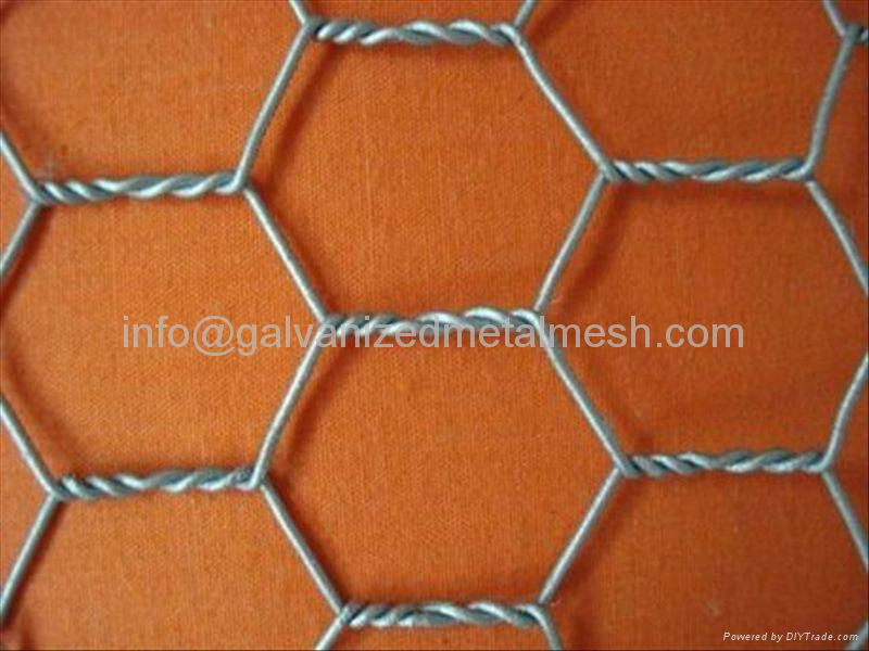 Galvanized Hexagonal wire mesh for poultry 2