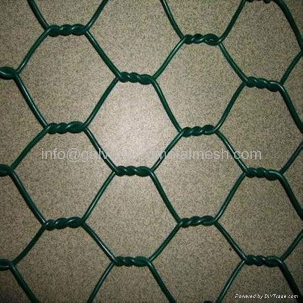 Galvanized Hexagonal wire mesh for poultry 3