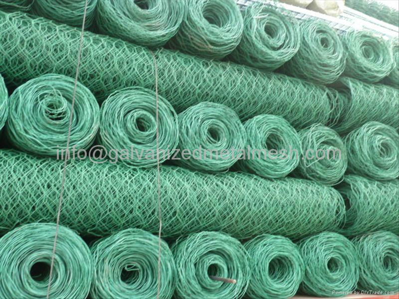 Galvanized Hexagonal wire mesh for poultry 5