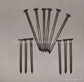 Common Round Iron Wire Nails 1