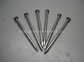 Common Round Iron Wire Nails 2