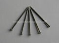 Common Round Iron Wire Nails 3