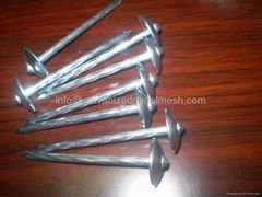 Umbrella Roofing Nails Twisted Shank or Plain Shan