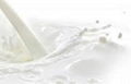 Instant Full Cream Milk Powder, Skimmed Milk Powder 1