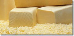 Fresh Halal Mozzarella Cheese