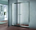 Double sliding shower door