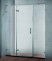 Framless hinge shower panel