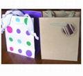 Gift/Shopping Paper Bag 3