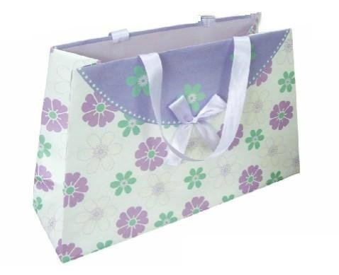 Gift/Shopping Paper Bag 5
