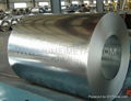 Gavanized steel coil  3