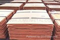 Copper cathodes