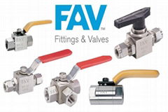 FAV Instrument Valves