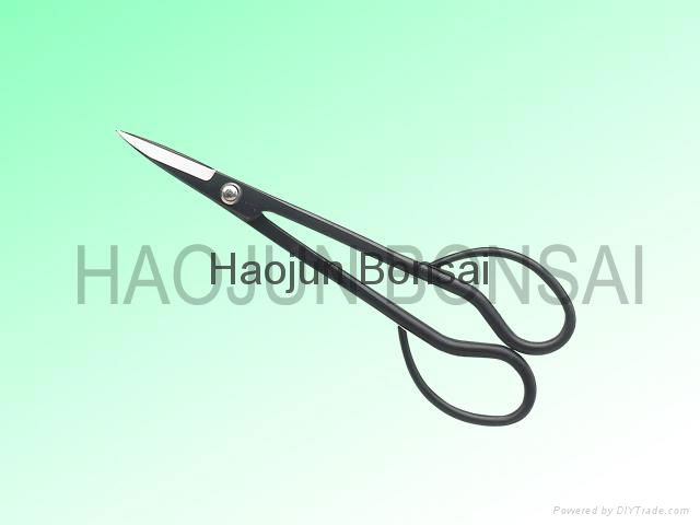 Bonsai tool Trimming Scissor --High quality with competitive price (factory) 4