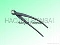 Bonsai tool set--- High quality with competitive price (Made in Chinese factory) 3