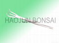 Bonsai tools (Rake  Pincette) --High quality with competitive price (Made in Chi 1