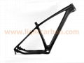 2013 LIGHTCARBON 29" hard tail carbon