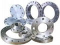 Stainless Steel 310S Flanges