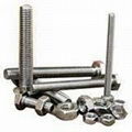 Stainless Steel 310S  Grade Fasteners