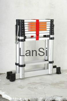 Telescopic Ladder