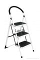 Steel Ladder