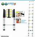 Telescopic Ladder 1