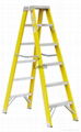 Fibergalss Ladder 1