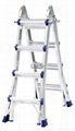 Little Giant Ladder