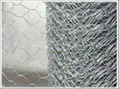 hexagonal  wire mesh 2