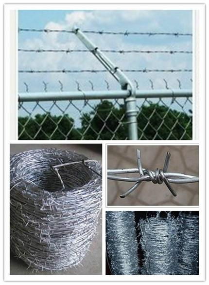 barbed wire  3