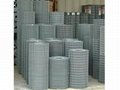 ss  welded wire mesh 1
