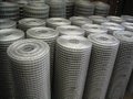 ss  welded wire mesh 3