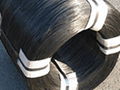 Black Annealed Wire