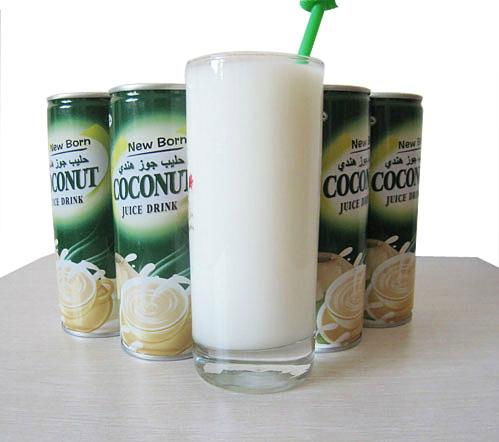 can packed 240ml coconut water beverage drink 2