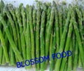 Frozen green asparagus