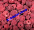 Frozen raspberry 2