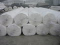 Geotextile 1