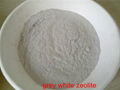 High CEC Zeolite powder