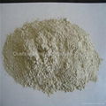 Sodium and Calcium Bentonite 1