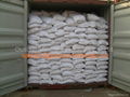 Bentonite cat litter 2