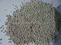 Bentonite cat litter 3