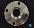 DIN2577 Plff Pn16 Dn65 Flange