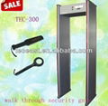 Security Acess Door Archway Metal