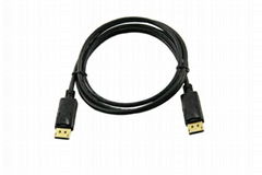 DP M to DP M Cable 