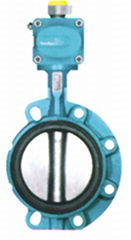 Lined butterfly valve