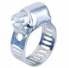 American hose clamp