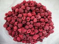 Frozen Raspberry IQF