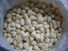 Frozen Garlic IQF