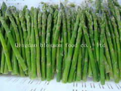 Frozen Green Asparagus IQF